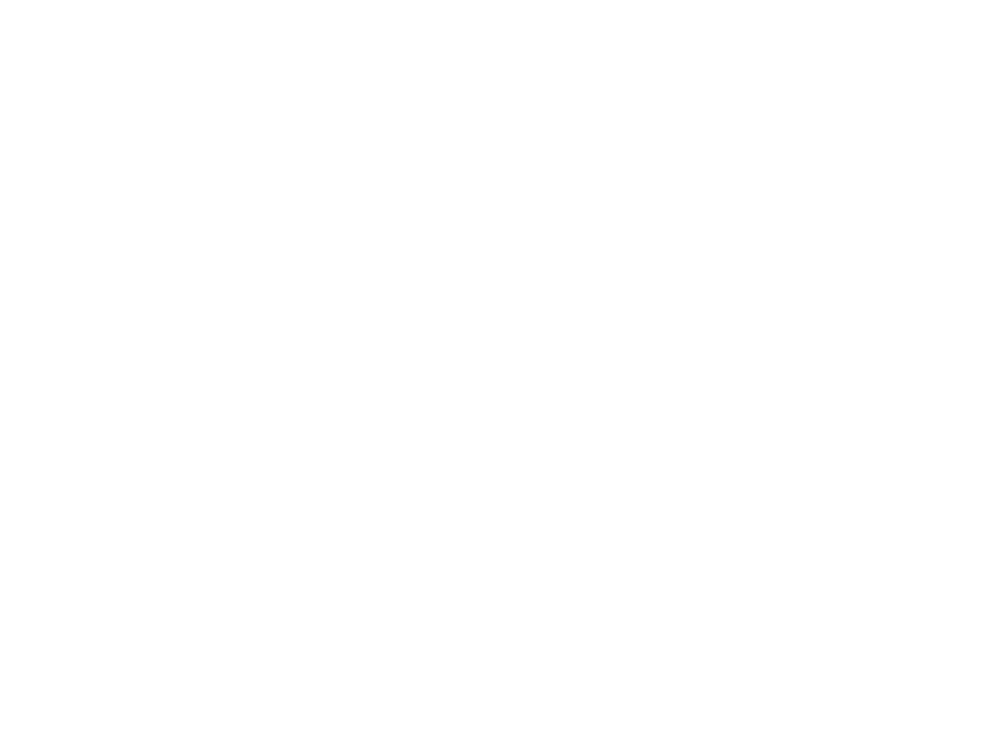 FIT — Fundamental Information Technology